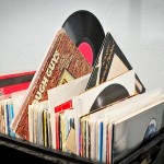 X-@-Schwarzes-Schaf-0004