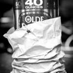 X-@-Mahagoni-Bar-0084